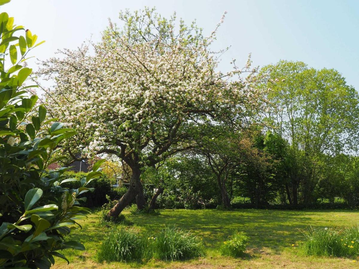Ferienhaus Extrazeit_Urlaub Hasselberg  外观 照片